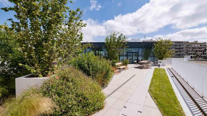 Solutions écologiques pour la végétalisation de toitures