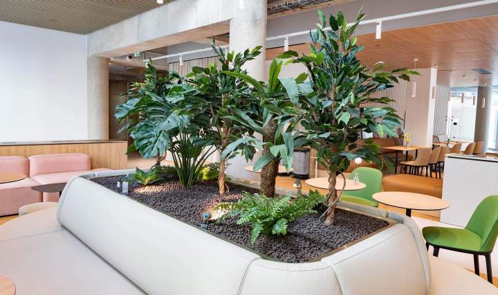 Intégration de la nature dans vos espaces de travail