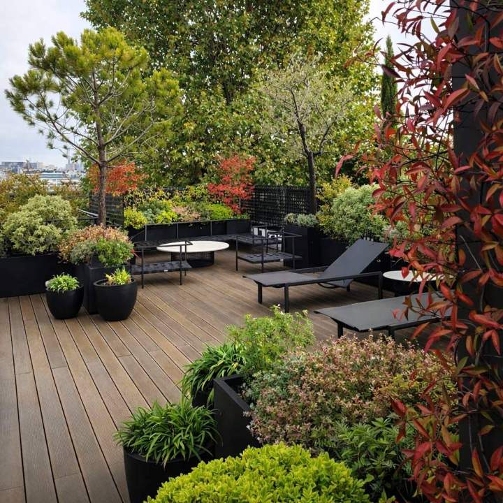 Design végétal Hauts-de-Seine