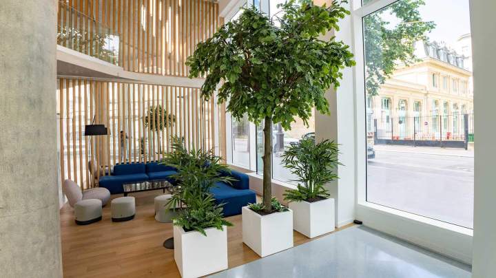 Paysagiste d'intérieur Hauts-de-Seine