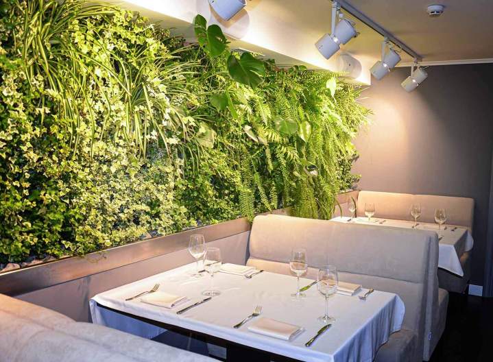 Design végétal Hauts-de-Seine