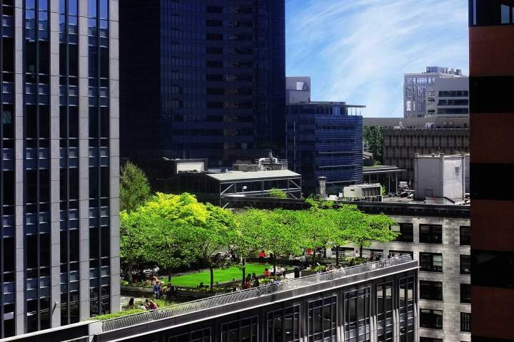 Paysagiste terrasse, Courbevoie