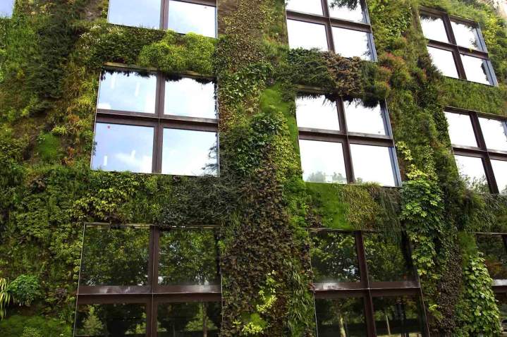 Immeuble végétalisé Hauts-de-Seine